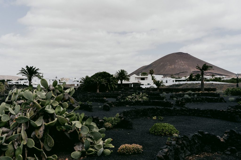 Que ver en Lanzarote