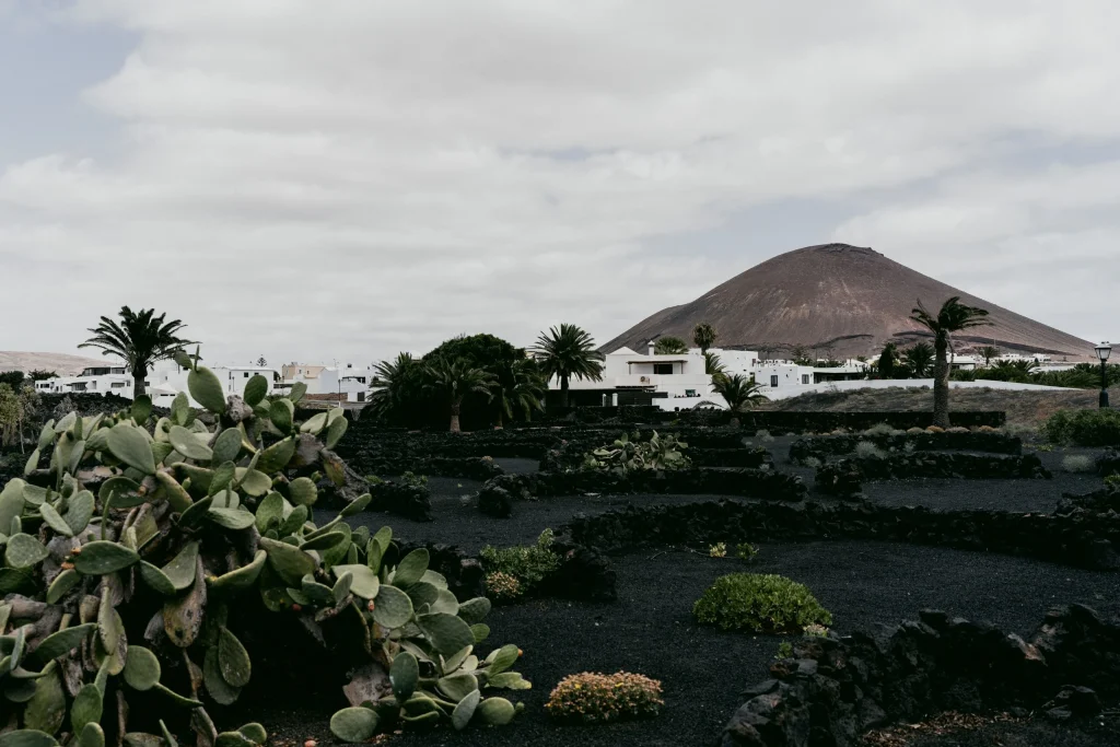 Que ver en Lanzarote