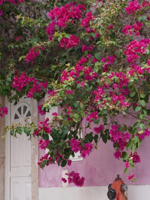 casas barrio Belem Lisboa