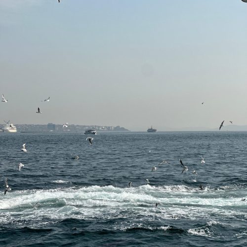 Ferry_üsküdar
