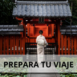 PREPARA TU VIAJE A JAPON