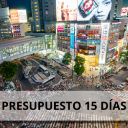 PRESUPUESTO 15 DIAS JAPON
